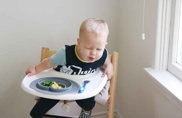 toddler dinner plate